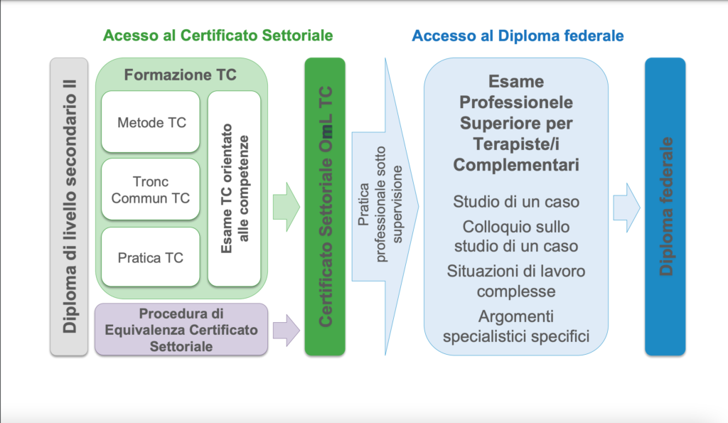 STRUTTURA-FORMAZIONE-FEDERALE-TC.png